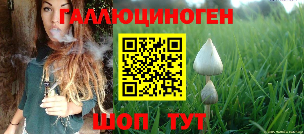 Галлюциногенные грибы MAGIC MUSHROOMS  Псилоцибиновые грибы MAGIC MUSHROOMS  Дербент  Вход с VPN 